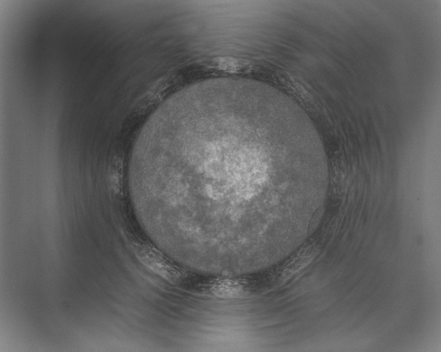 X0000074970656200609221824