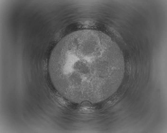 X0000074970657200609221824