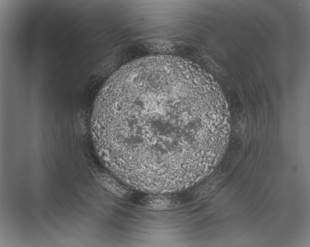 X0000074970658200609221824