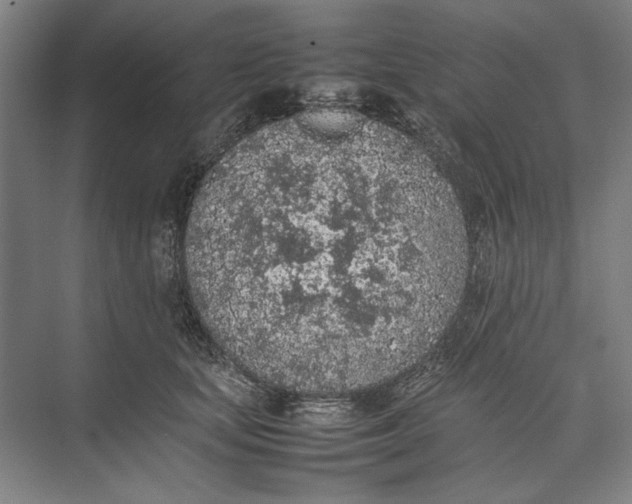 X0000074970659200609221824