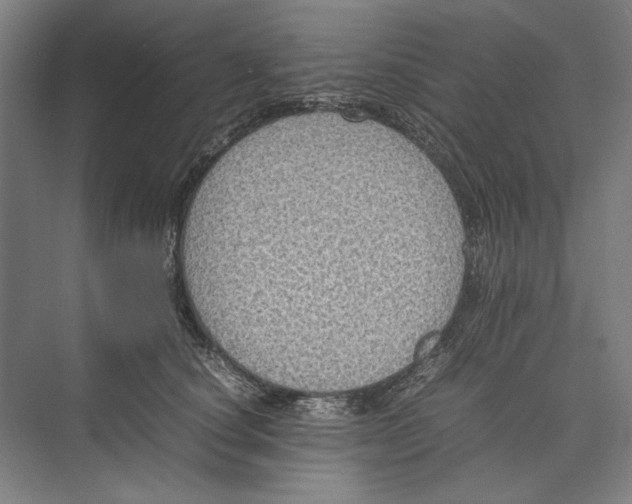 X0000074970660200609221824