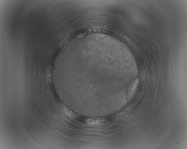 X0000074970661200609221824