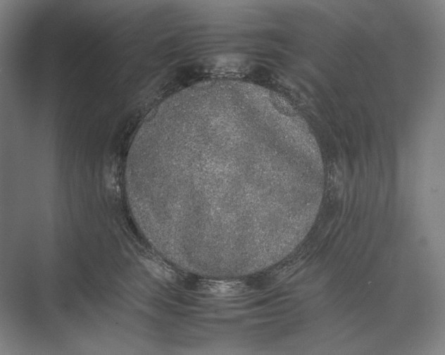 X0000074970663200609221824