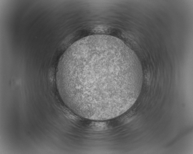 X0000074970665200609221824