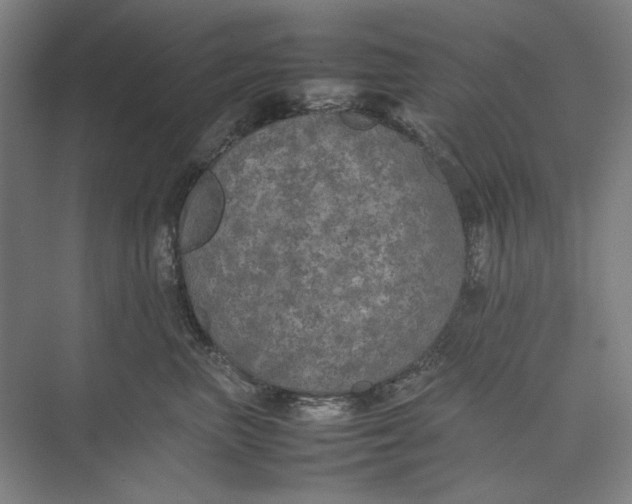 X0000074970667200609221824