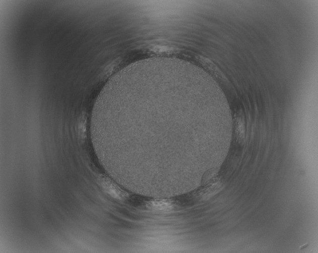 X0000074970668200609221824