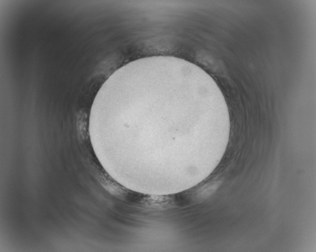 X0000074970672200609221824