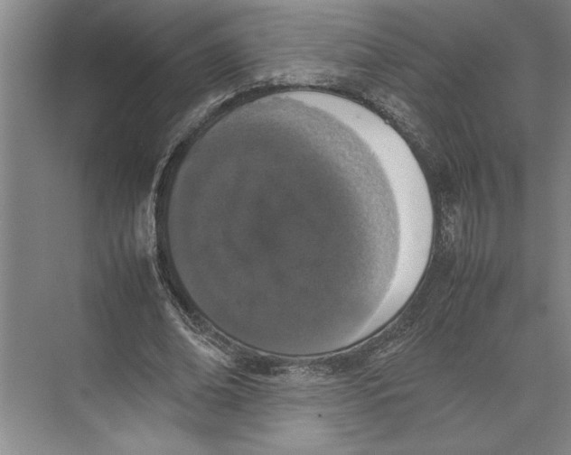 X0000074970678200609221824