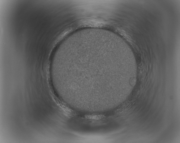 X0000074970679200609221824