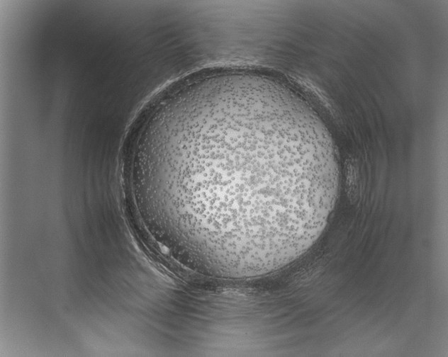 X0000074970684200609221823