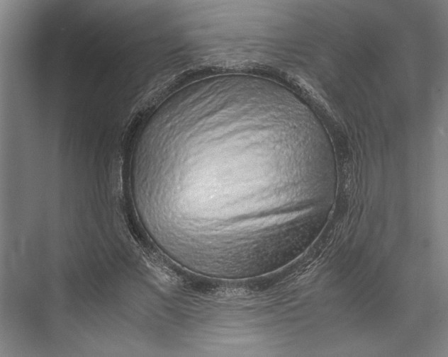 X0000074970685200609221823