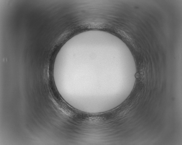 X0000074970686200609221823