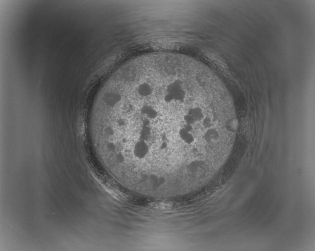 X0000074970687200609221823