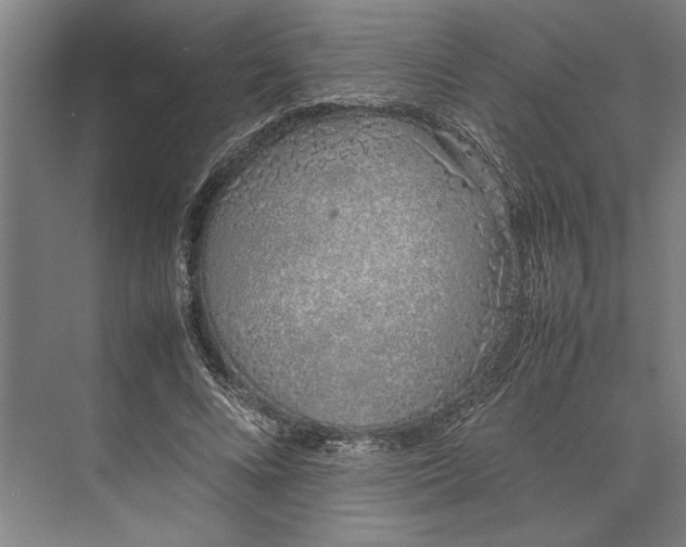 X0000074970688200609221823