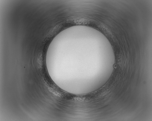 X0000074970690200609221823