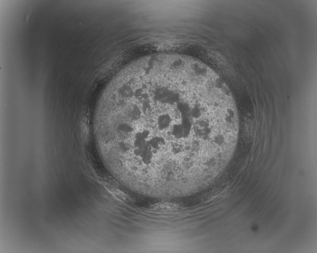 X0000074970691200609221823