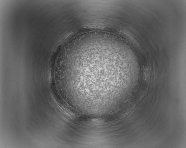 X0000074970692200609221823