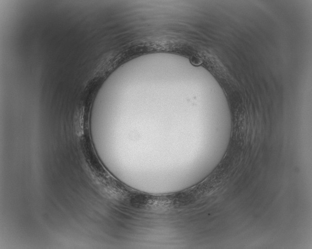 X0000074970694200609221823