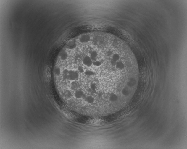 X0000074970695200609221823