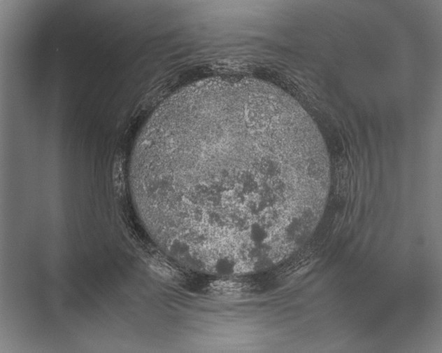 X0000074970699200609221823