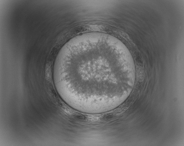 X0000074970701200609221823