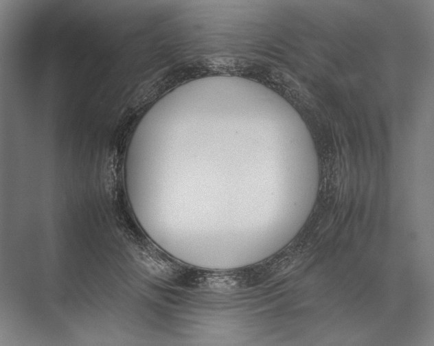 X0000074970702200609221823