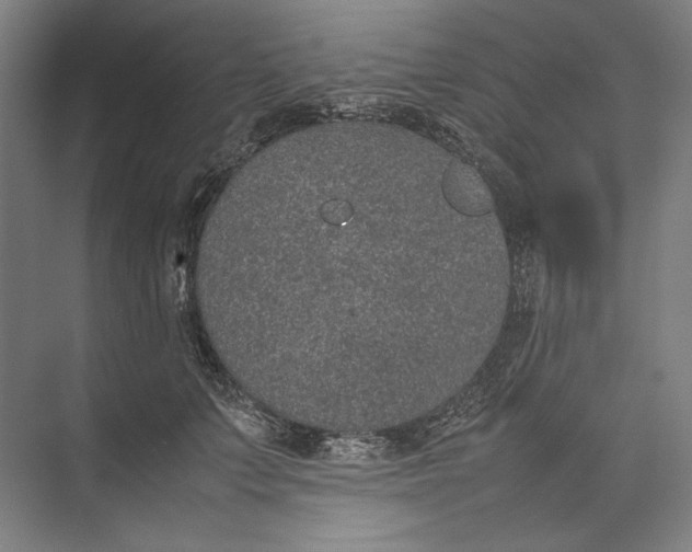 X0000074970703200609221823