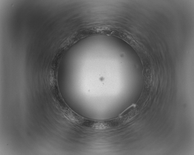 X0000074970704200609221823