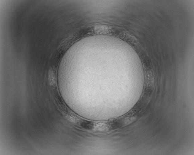 X0000074970705200609221823