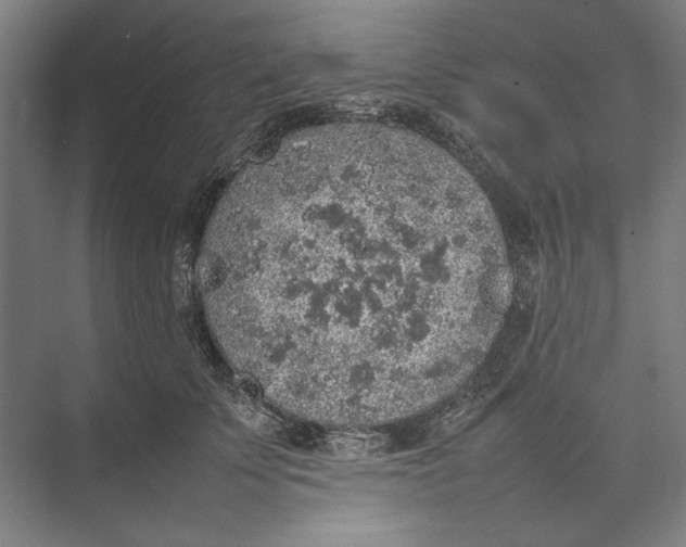 X0000074970707200609221823