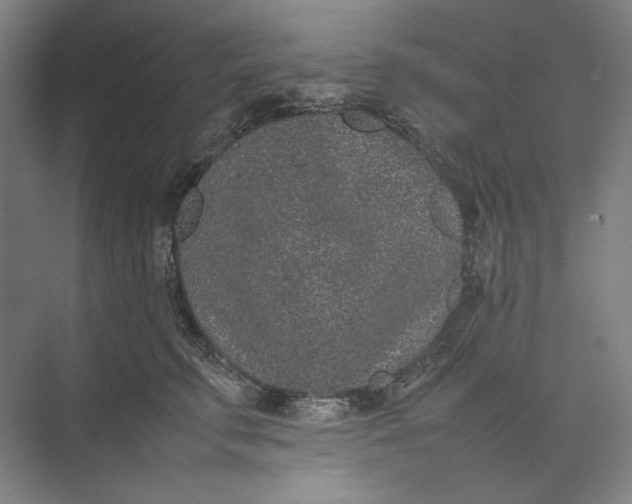 X0000074970711200609221823