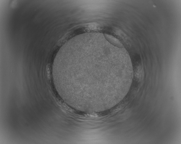 X0000074970715200609221823