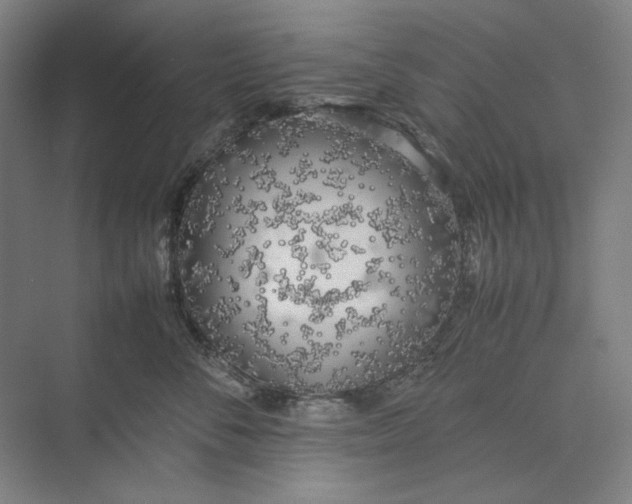 X0000074970716200609221823