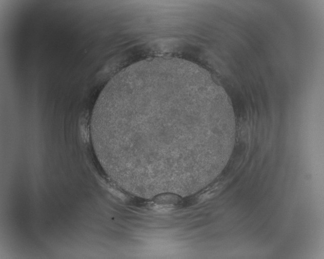 X0000074970719200609221823