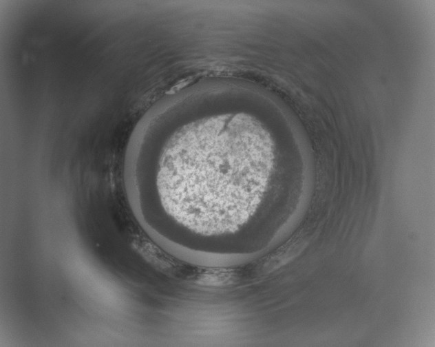 X0000074970720200609221823