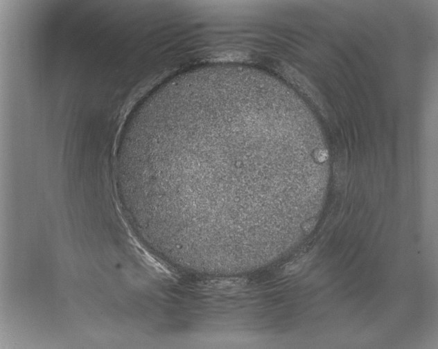 X0000074970721200609221822