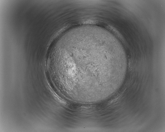 X0000074970725200609221822