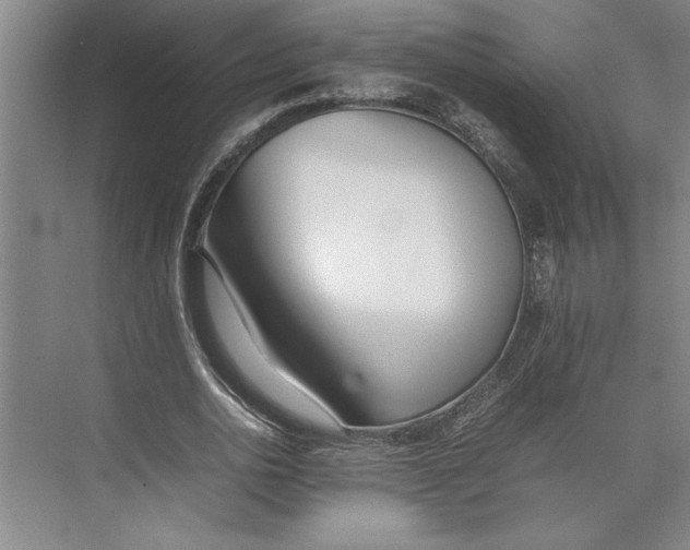 X0000074970726200609221822