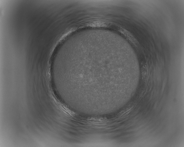 X0000074970727200609221822