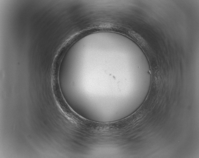 X0000074970728200609221822