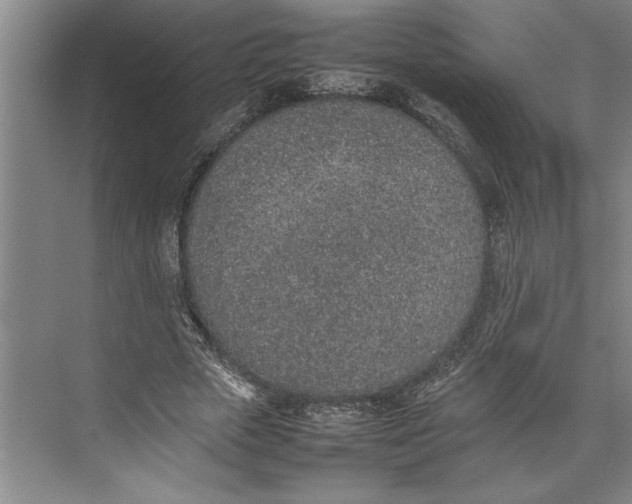 X0000074970729200609221822