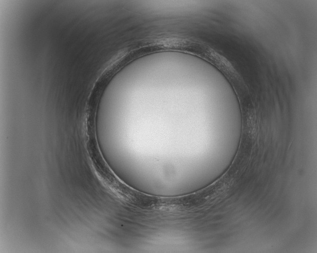 X0000074970730200609221822