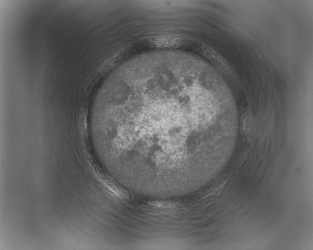 X0000074970733200609221822