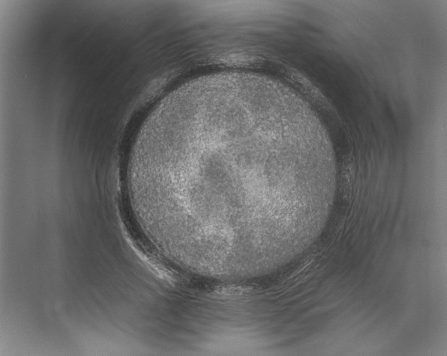 X0000074970734200609221822