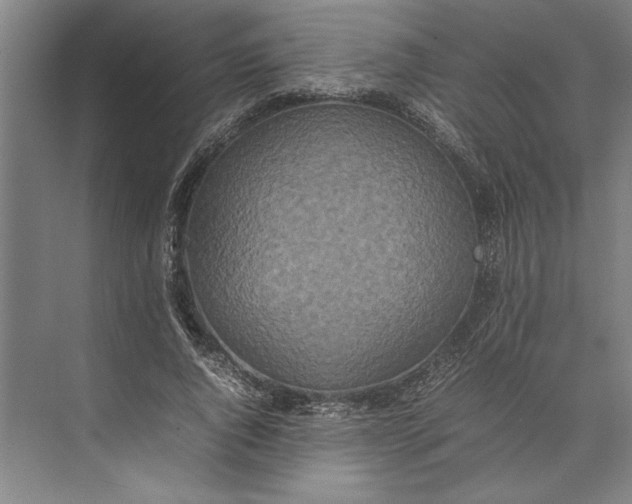 X0000074970736200609221822