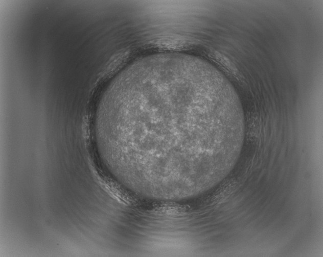 X0000074970738200609221822