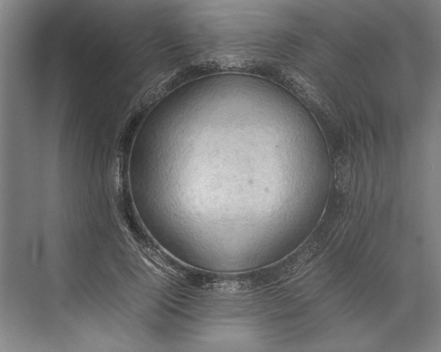 X0000074970740200609221822