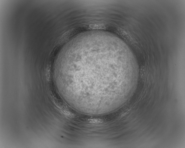 X0000074970741200609221822