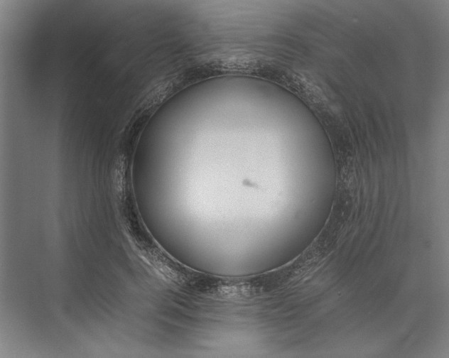 X0000074970744200609221822