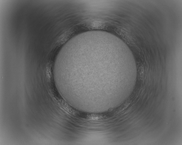 X0000074970746200609221822